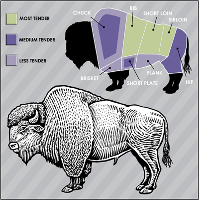 Bison Cuts Chart